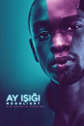 Ay Işığı (2016)