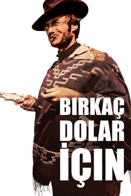 Bir Kaç Dolar İçin (1965)