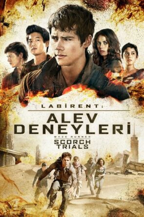 Labirent: Alev Deneyleri (2015)