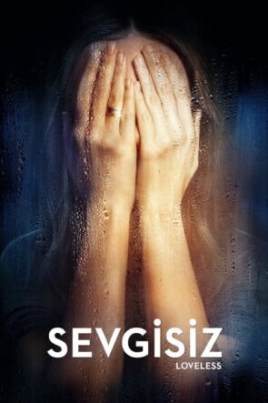 Sevgisiz (2017)