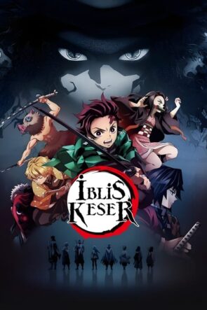 Demon Slayer Kimetsu no Yaiba